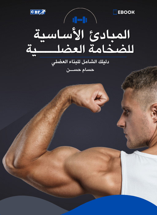 المبادئ الأساسية للضخامة العضلية